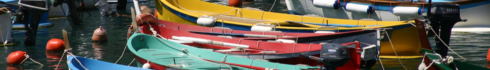 Vernazza Fishing Fleet